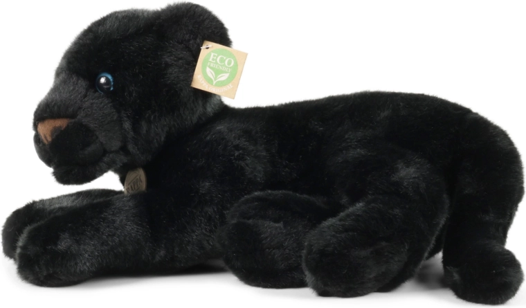 Идеален спътник