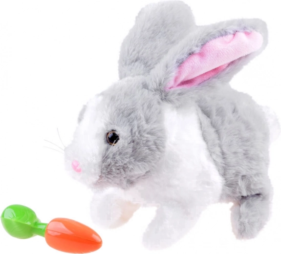 Хрупка морковче