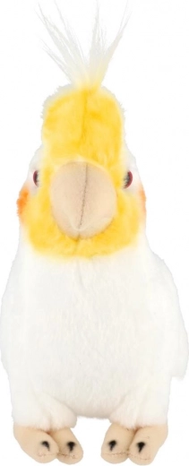 Безопасна от раждането