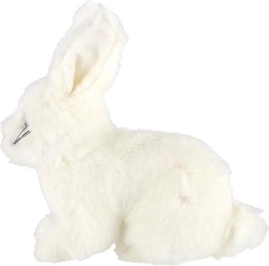 Лек и идеален за път