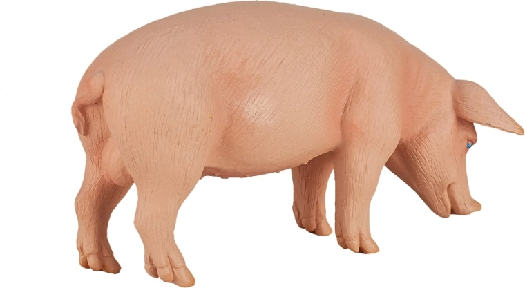 Подходящо за колекционери