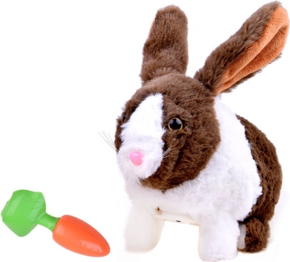 Забавно хранене с морков