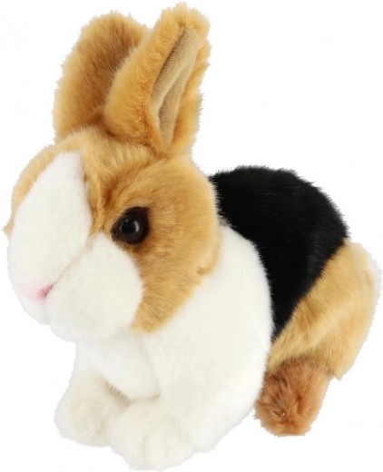 Реалистични детайли и цветово изпълнение