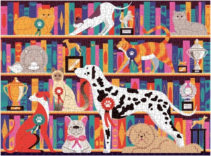 Colorful and Playful Graphics