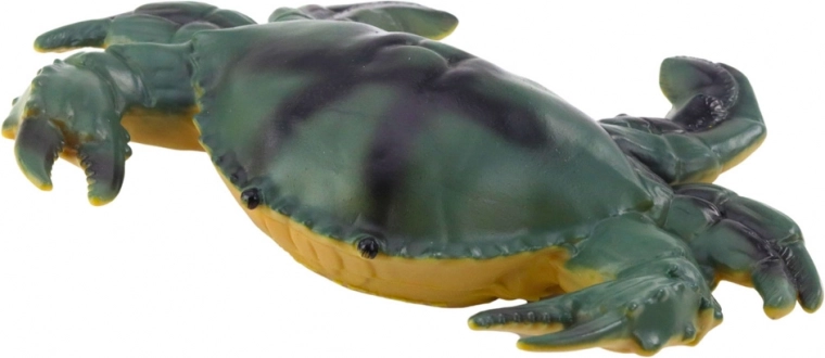 Реалистични цветове и различни видове морски животни