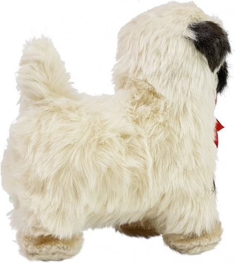 Върви напред с весела мелодия