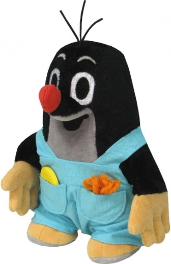 Свалящи се гащички с джоб