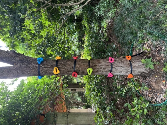 Регулируемо трасе за различни умения