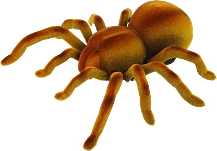 Realistic tarantula look