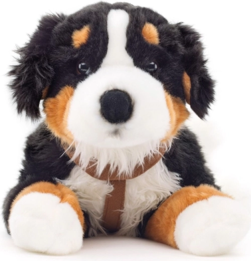 65 cm size for hugging and decor