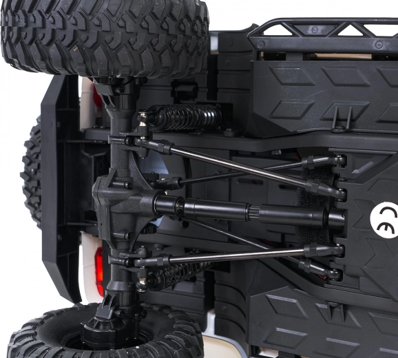 Off-road chassis with differentials
