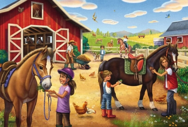 Caring for horses as an adventure