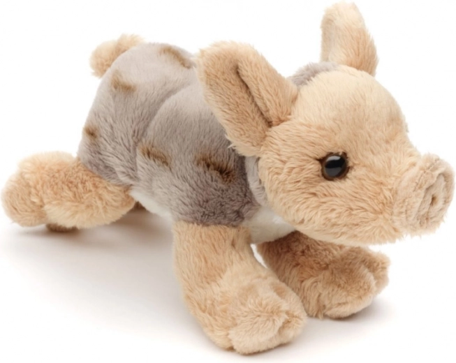 Леко и идеално за път