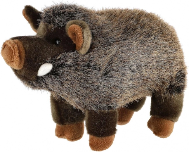 Безопасно от раждането