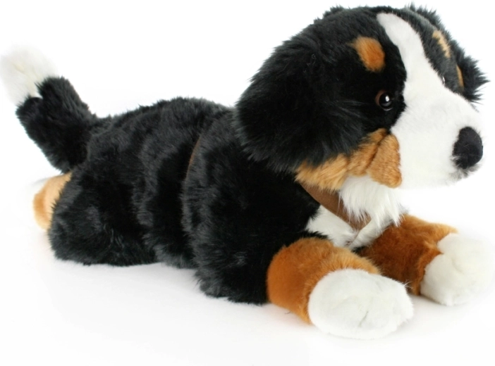 Realistic Bernese Mountain Dog design