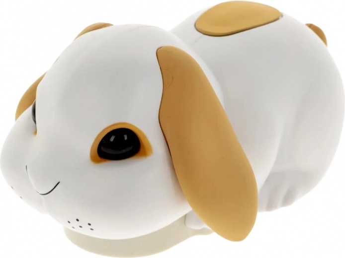 Палаво зайче, което раздвижва забавлението