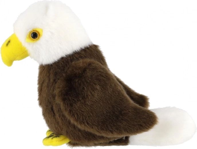 Реалистични детайли на белоглавия орел