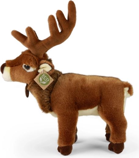Ideal companion for sleep and decor