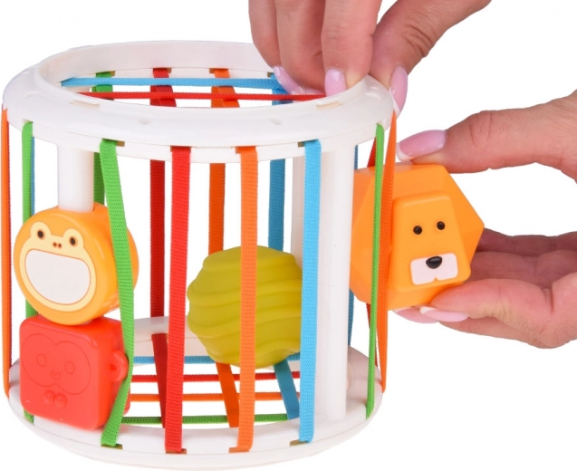 Smart sorter with elastic bands