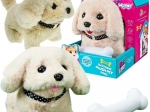 Woopie interactive plush puppy with bone (Bichon or Golden Retriever)
