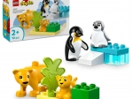 LEGO® DUPLO® 10442 Семейства диви животни: пингвини и лъвове